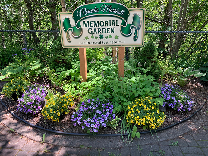 Saint Patrick’s Mercy Home