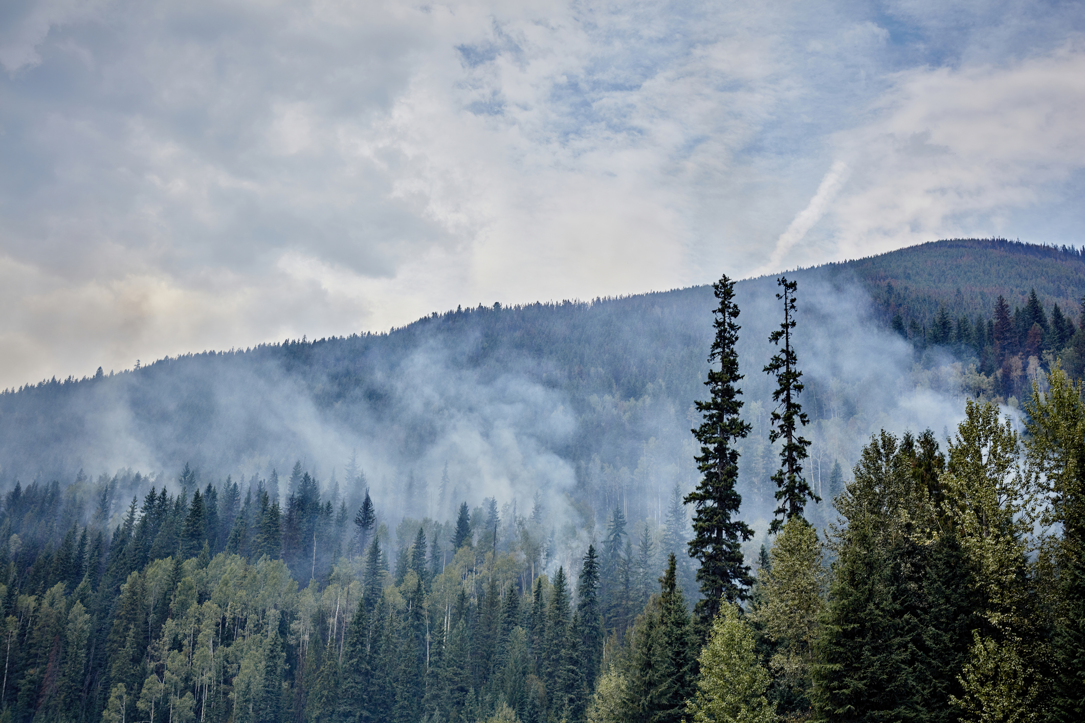 NL Health Services is monitoring wildfires in the province
