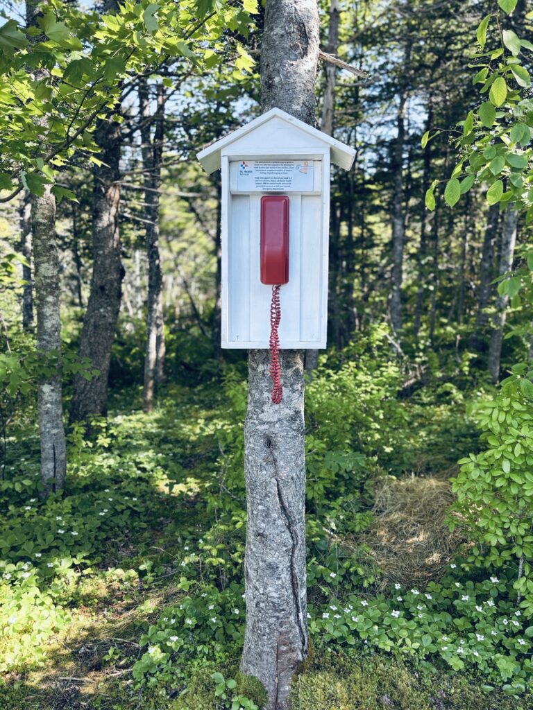 Wind phone installation brings comfort and connection to the Burin Peninsula 